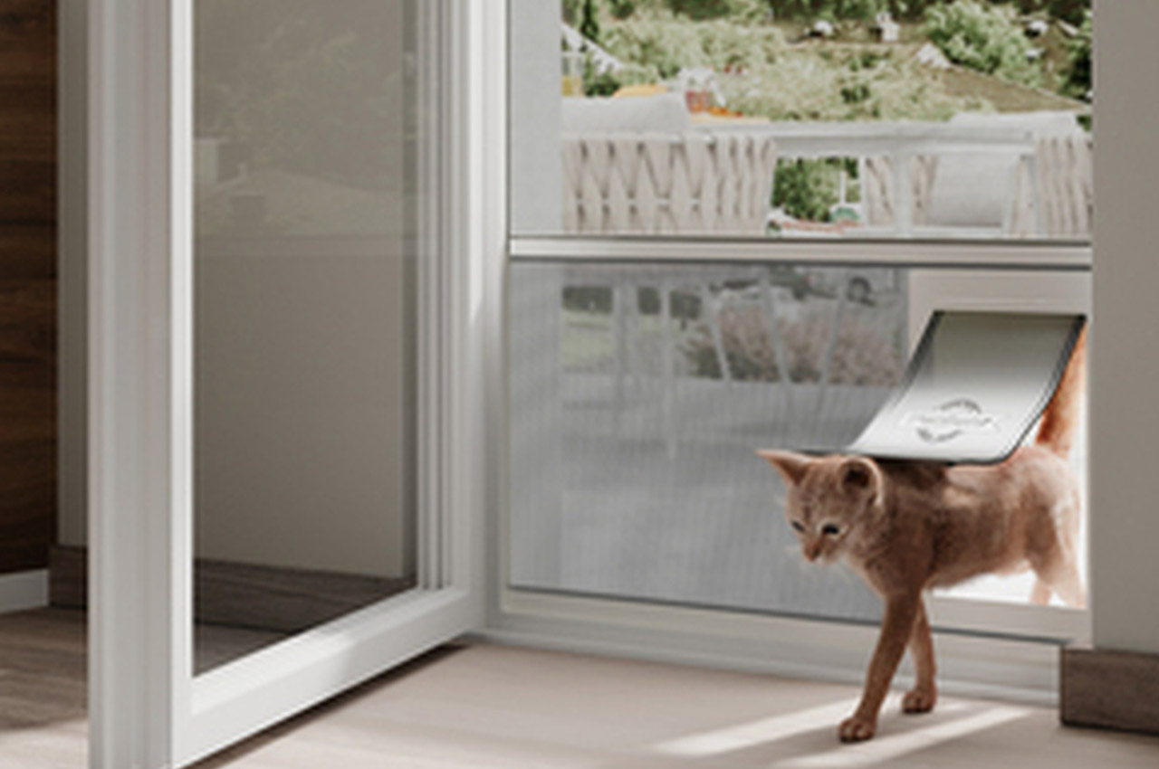 IMG_PHO_MHZ-Insektenschutz-Schweiz-1230-DT4-2_#SFR-CH_#AINK_#V1-web